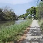 Shaka Aum Сижан