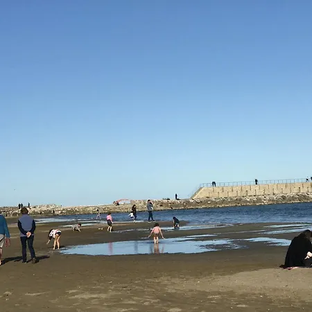 Camping Shaka Aum Sigean