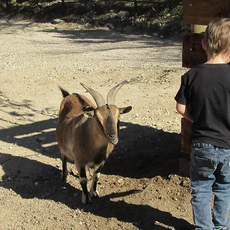 Shaka Aum Camping Sigean