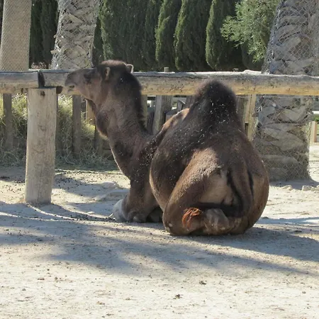 Shaka Aum Camping Sigean